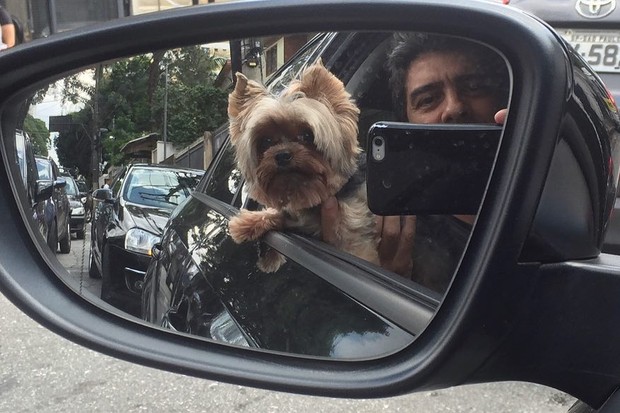 Junno Andrade e o cachorrinho Dudu (Foto: Reprodução/Instagram)