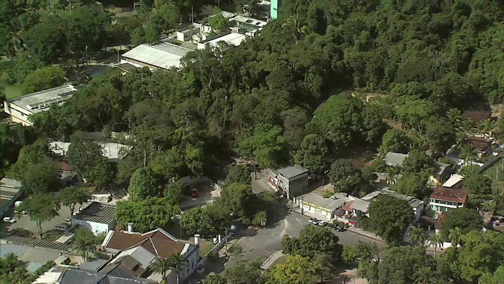 Vista aérea do Zoológico do Recife, localizado no Parque Dois Irmãos, na Zona Oeste da cidade — Foto: Reprodução/TV Globo