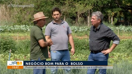 Pequeno produtores de Palmas recebem orientação para vendo e cultivo