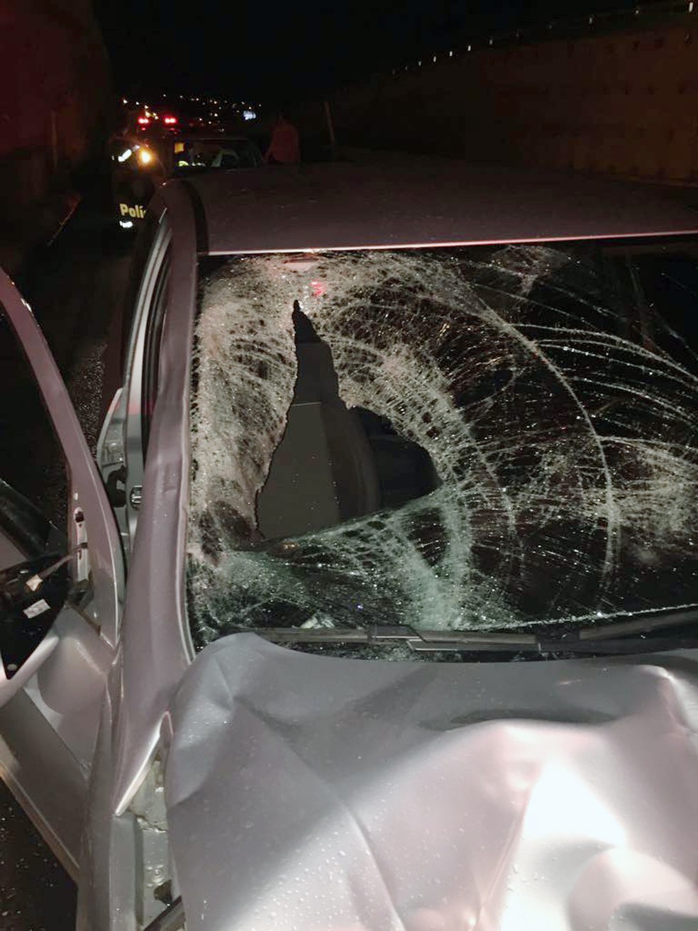 Atropelamento foi na Rodovia Comandante João Ribeiro de Barros (SP-294), em Dracena (Foto: Mariane Santos/TV Fronteira)