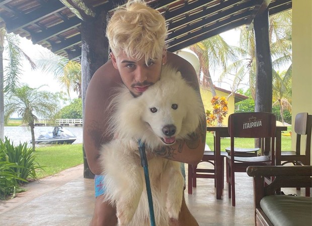 Zé Felipe e cão de estimação (Foto: Reprodução/Instagram)
