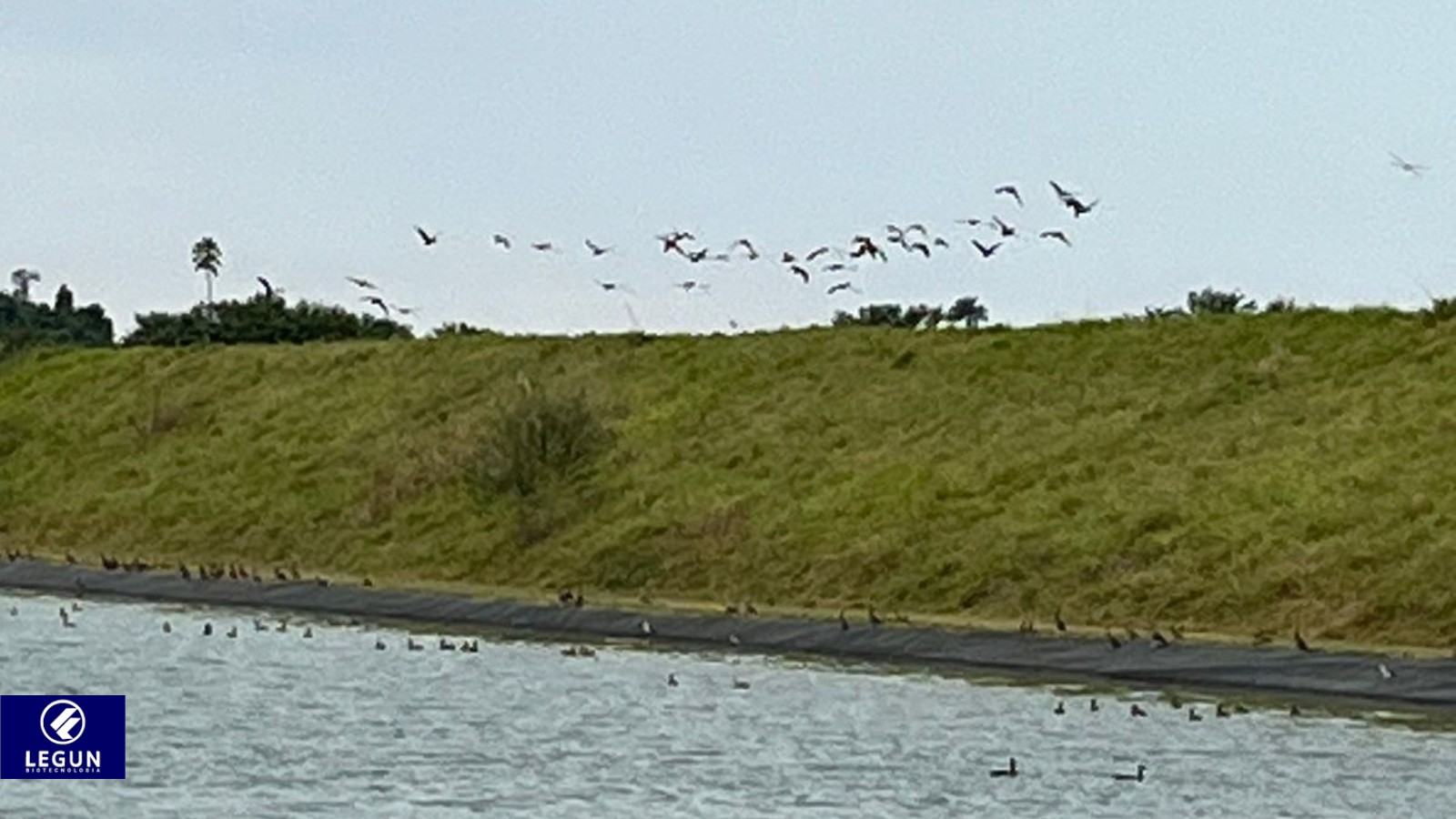 Eficiência contra o lodo: tecnologia da Legun evita 15 mil viagens de caminhão
