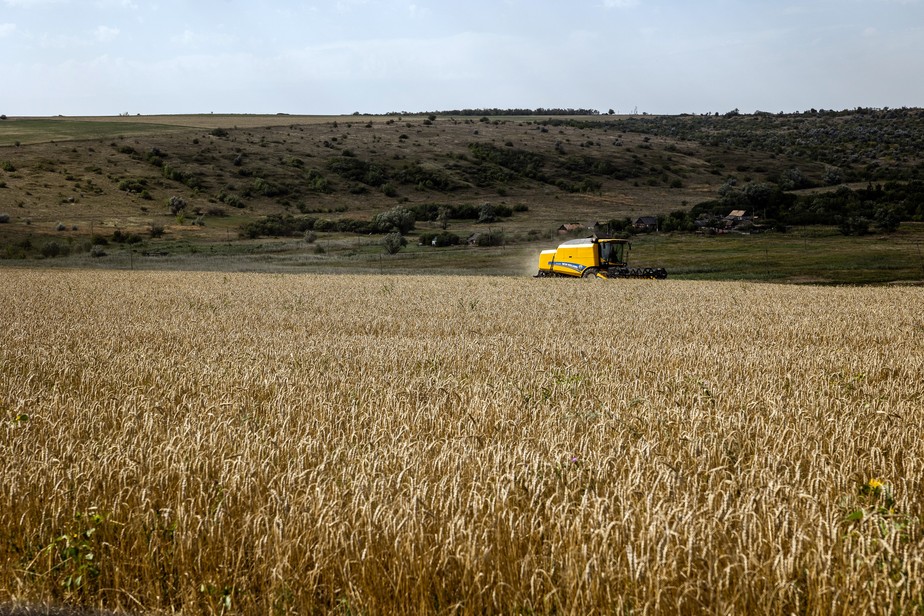 Trigo é colhido em uma fazenda perto de Chasiv Yar, no Leste da Ucrânia, em 25 de agosto de 2022