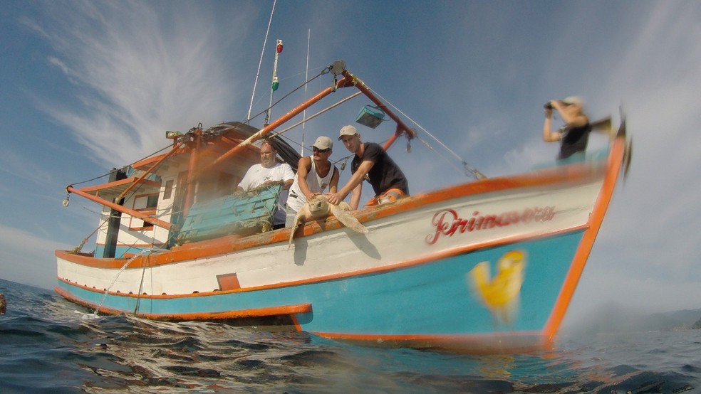 BiÃ³logo do Tamar e pescador soltaram o animal em Ã¡rea de mar aberto  â€” Foto: DivulgaÃ§Ã£o/Projeto Tamar