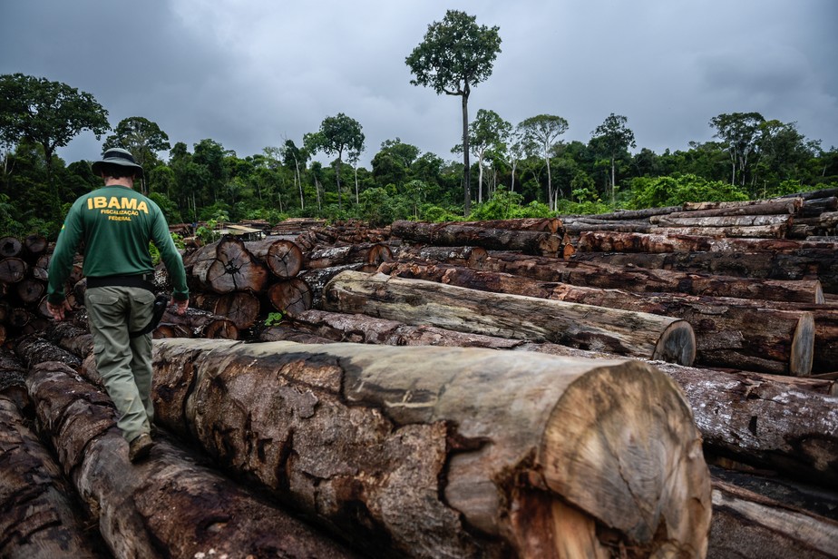 Agente do Ibama em apreensão de madeira ilegal em 2018, no Pará