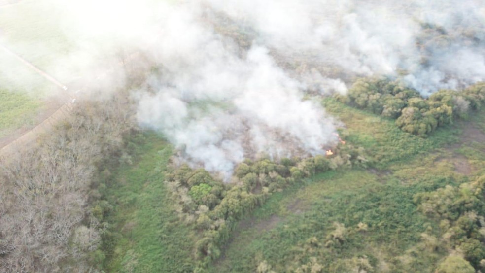 Áreas em chamas ficam entre Monte Castelo e São João do Pau D'Alho — Foto: Corpo de Bombeiros 