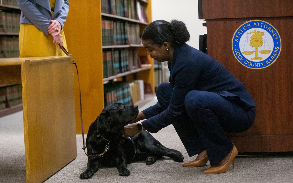 A procuradora estadual do Condado de Cook, Kim Foxx, conduz o ‘juramento’ da cachorra Hatty, que prestará apoio emocional a crianças que irão depor, na Corte Criminal George N. Leighton, na terça-feira (29) — Foto: Camille Fine/Chicago Tribune via AP