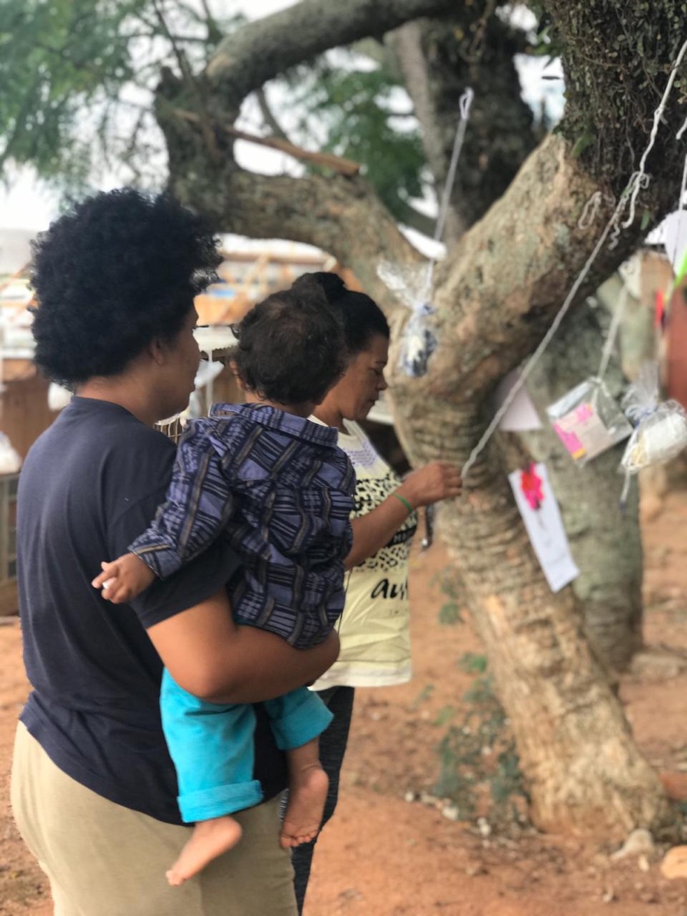 Famílias pegam máscaras doadas em árvores na capital catarinense — Foto: Maritza Fabiane/Arquivo pessoal