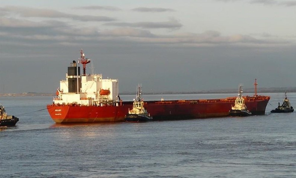 Navio graneleiro MV Seajoy aguarda autoriza&ccedil;&atilde;o para deixar o Porto de Santos &mdash; Foto: Divulga&ccedil;&atilde;o/Marine Traffic