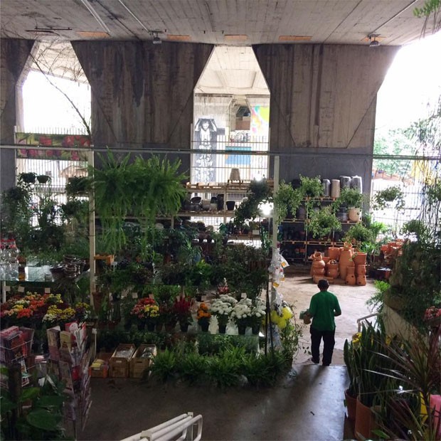 Roteiro de jardinagem: veja onde comprar plantas e acessórios em SP (Foto: Michell Lott e Divulgação)