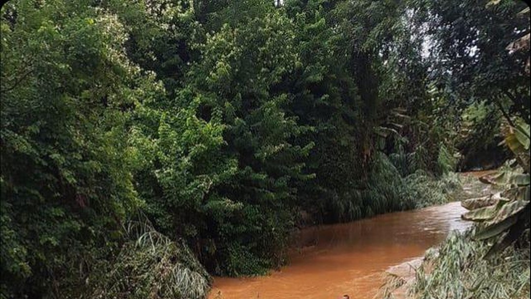 Santo Antônio do Grama Cidade G1