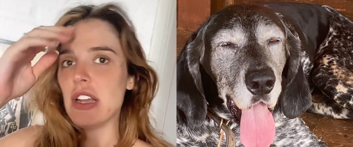Rafa Brites encontrou seu cachorro que ficou desaparecido por 24h (Foto: Reprodução/Instagram)