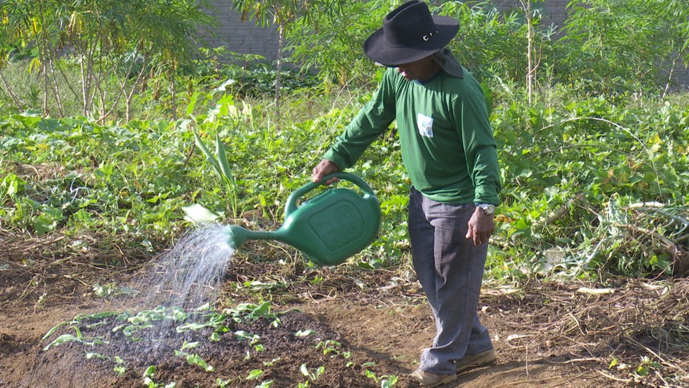 Dalvino e outros pacientes da UBS receberam curso para cultivo de hortas  (Foto: Rede Amazônica/Reprodução)