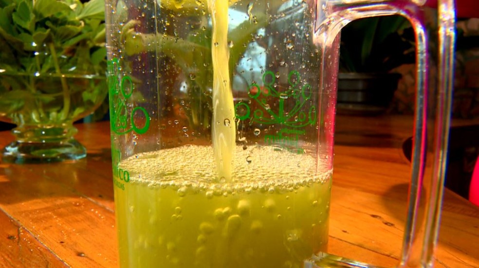 Dica De Carnaval Suco De Boldo E Aliado Para Se Recuperar Dos Abusos Das Festas Especiais G1