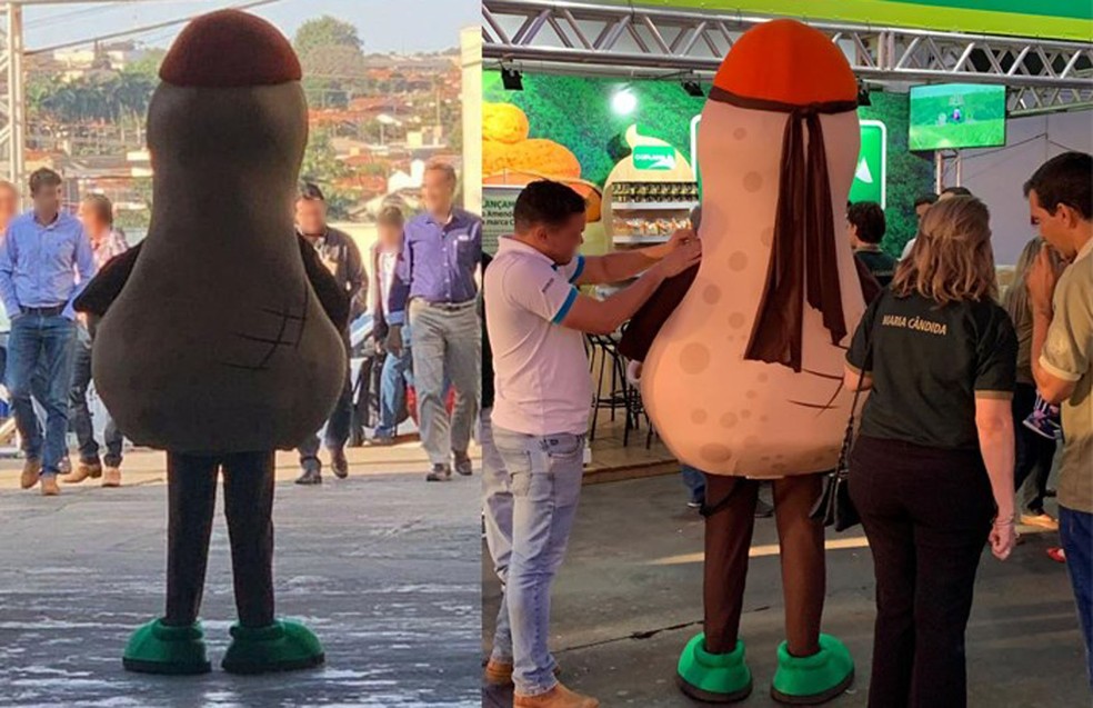 Fotos das costas de Minduca, mascote da Feira Nacional do Amendoim em Jaboticabal, SP, viralizaram — Foto: Redes Sociais