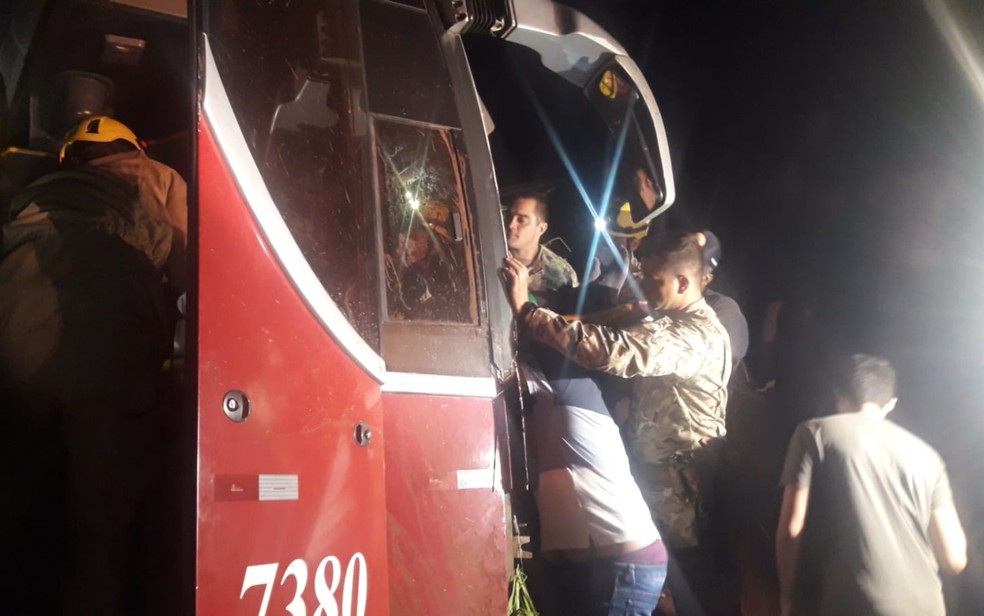 Motorista ficou preso às ferragens, em Indiara, Goiás — Foto: Reprodução/Corpo de Bombeiros