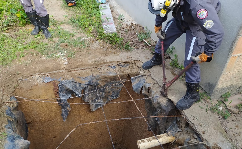 Parte da estrutura precisou ser cortada para que o animal pudesse ser resgatado — Foto: Divulgação/Corpo de Bombeiros