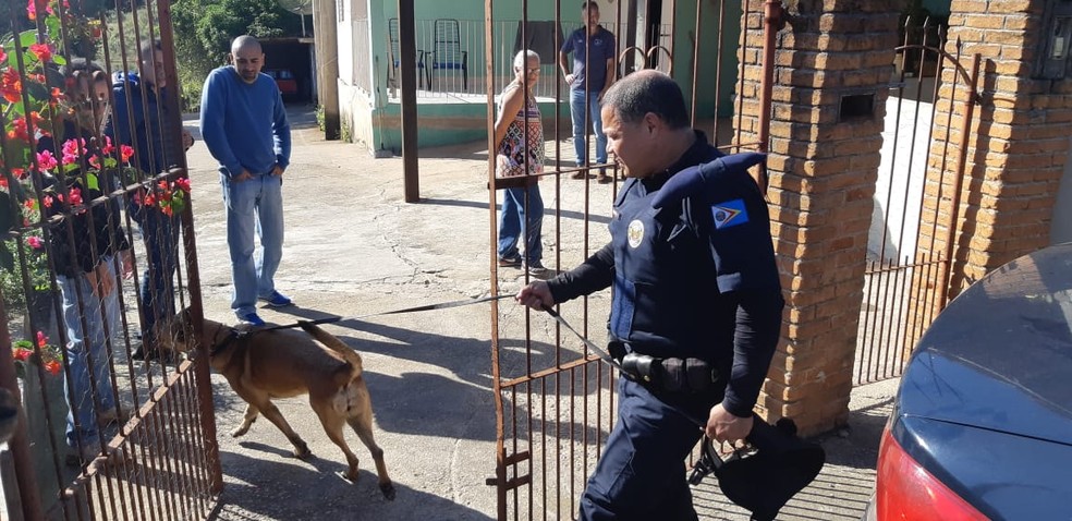 Cães farejadores da GM de Itupeva foram levados na casa dos suspeitos em Mairinque (Foto: Jomar Bellini/TV TEM)
