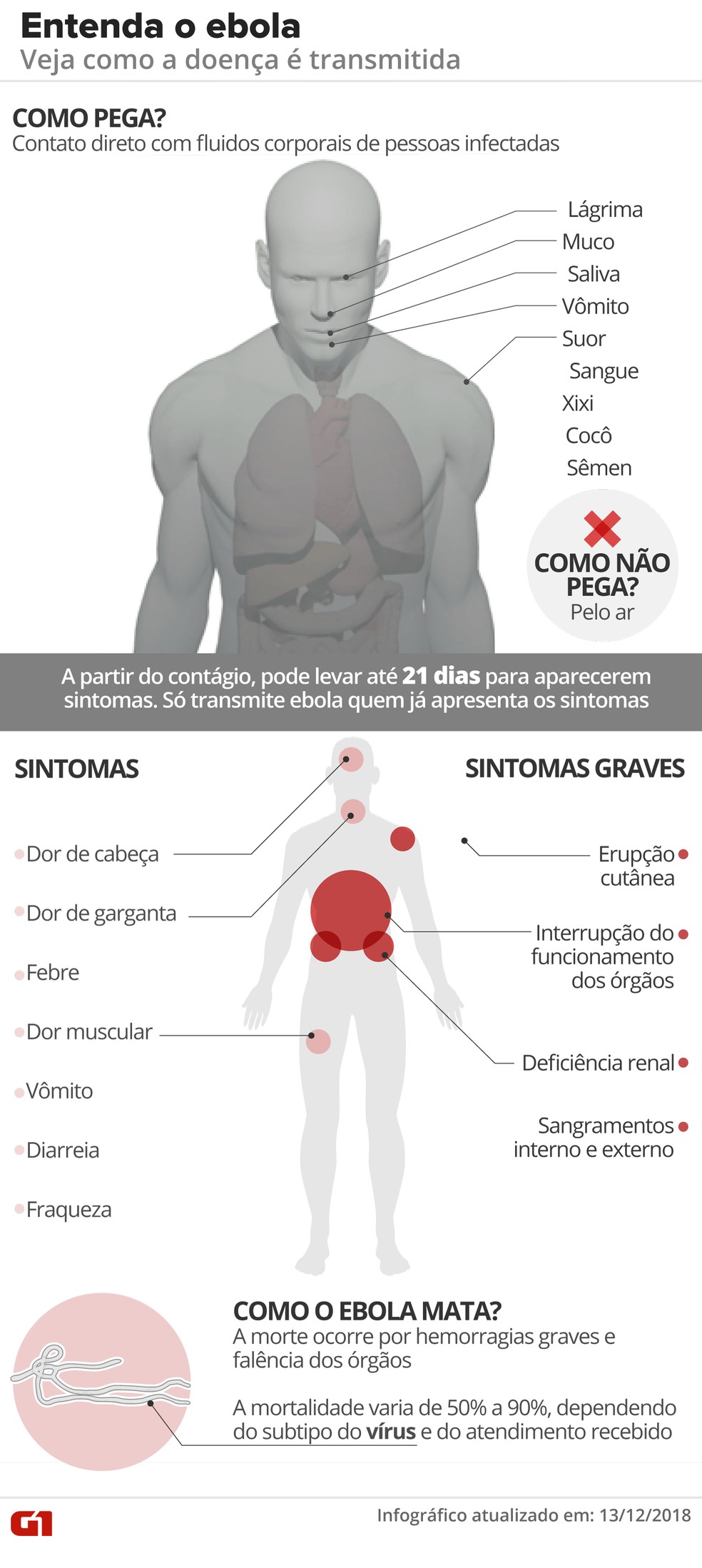 Entenda como o ebola é transmitido nos seres humanos — Foto: Arte G1