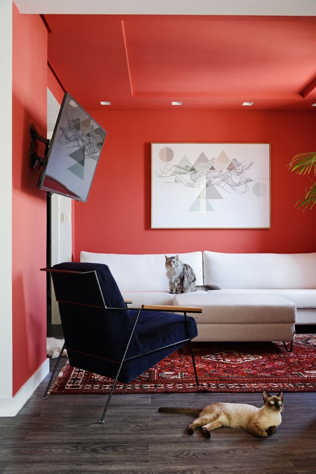 Sala vermelha é destaque no apartamento de um jovem e três gatos (Foto: Divulgação)