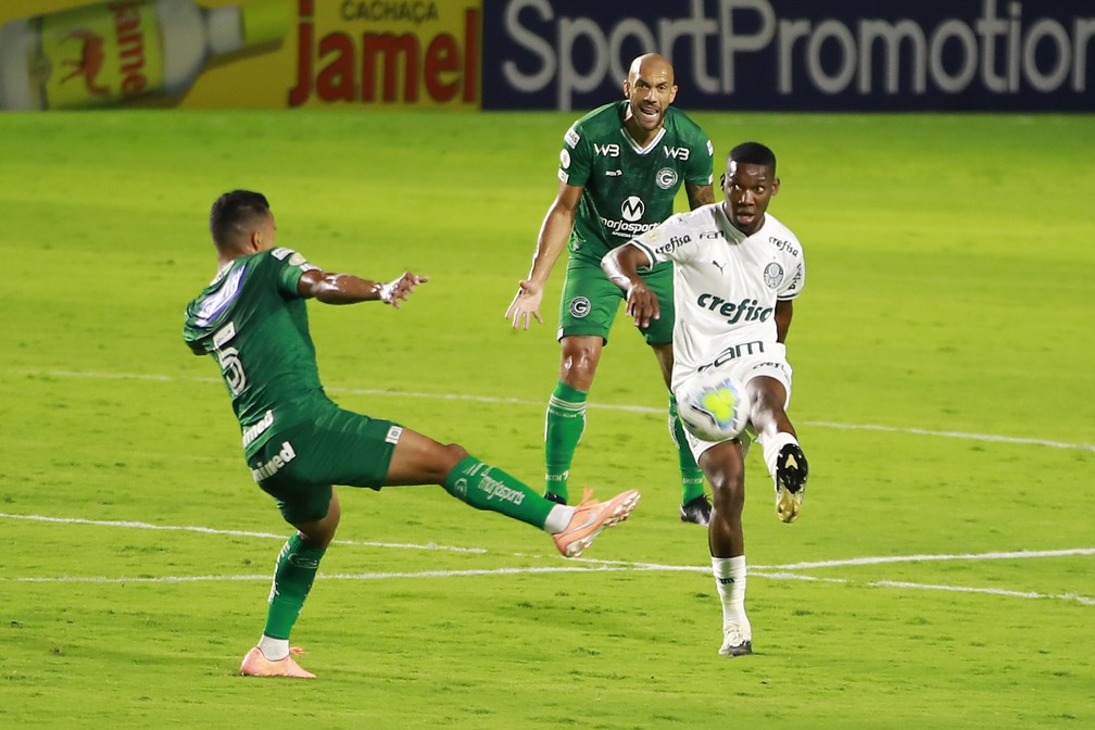 Notas da partida: confira as avaliações para os jogadores do Verdão em Goiás 1x0 Palmeiras no Serrinha