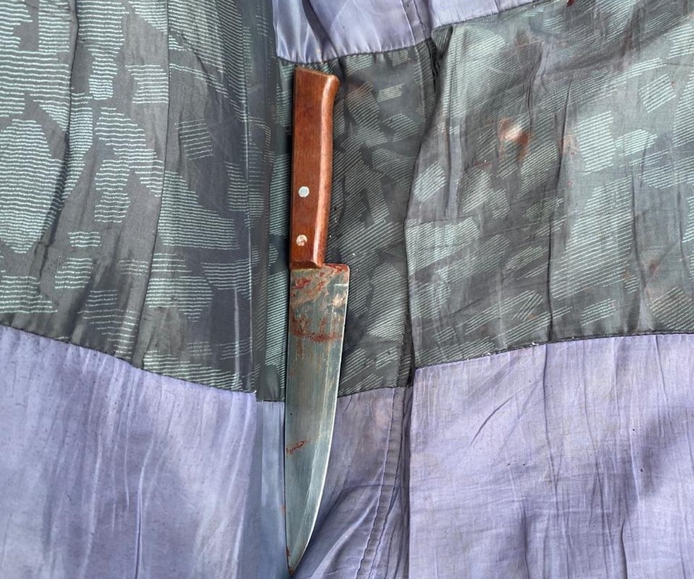 Faca utilizada no crime foi apreendida em Rio Preto  — Foto: Arquivo Pessoal 