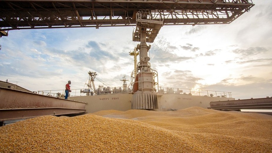 Movimentação de milho foi destaque nas exportações pelo Porto de Paranaguá
