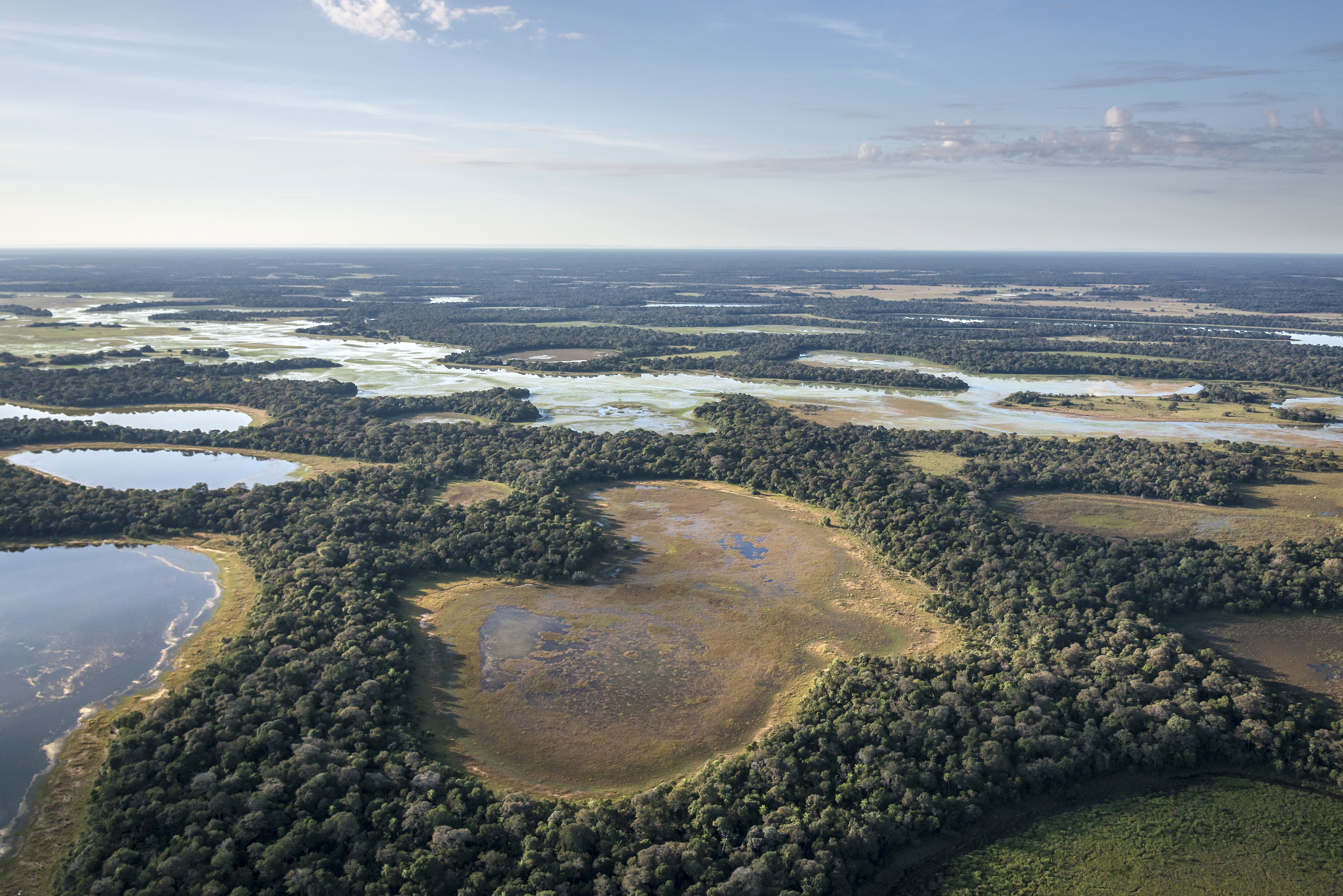 pantanal-preservação-meio-ambiente-coração-floresta (Foto: Divulgação/André Dib-WWF)