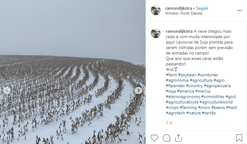 Soja debaixo de neve (Foto: Reprodução/Instagram)