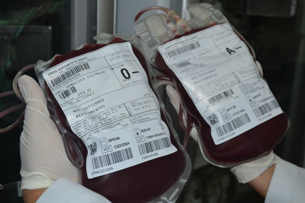 Bolsas de sangue no Hemose, em Sergipe — Foto: ASN/Divulgação/Arquivo