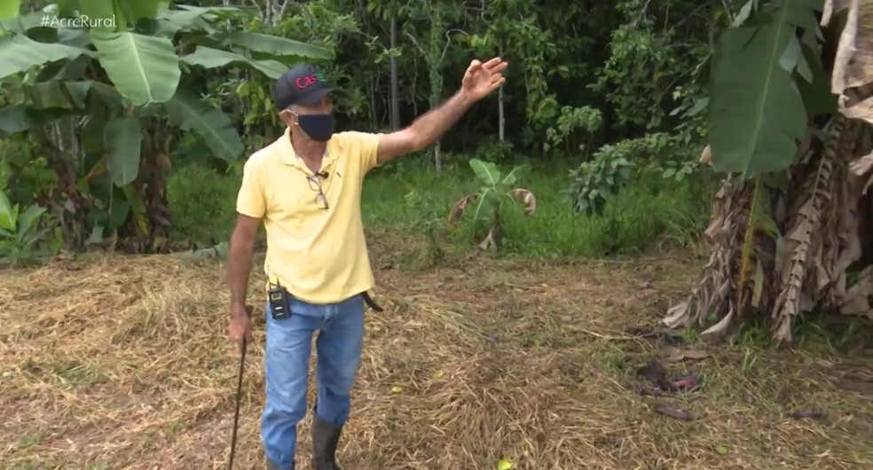 Zé Balela, como é conhecido José Francisco, de 66 anos, sonhava em ser pecuarista, mas mudou de ideia e decidiu plantar árvores em sua propriedade rural — Foto: Reprodução/Acre Rural 