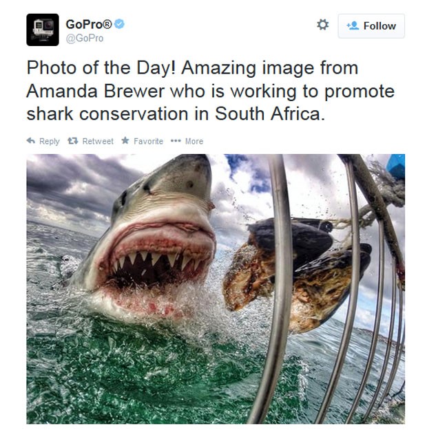 Amanda Brewer registrou uma foto impressionante de um grande tubarão branco atacando uma isca na África do Sul (Foto: Reprodução/Twitter/ GoPro)