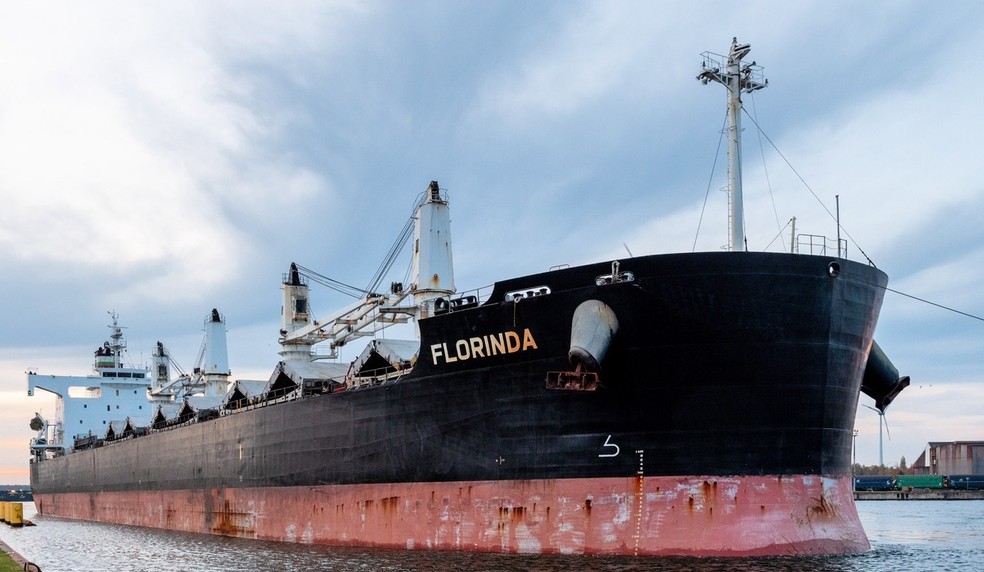 Tripulantes do navio MV Florinda seguirão em quarentena até o dia 22 de abril no Porto de Santos, SP — Foto: Reprodução/FleetMon