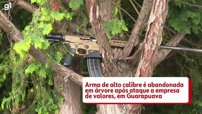 Arma de alto calibre é abandonada em árvore após ataque a empresa de valores