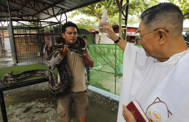 Funcionário do zoológico filipino segura uma enorme jiboia para a benção (Foto: Romeo Ranoco/Reuters)