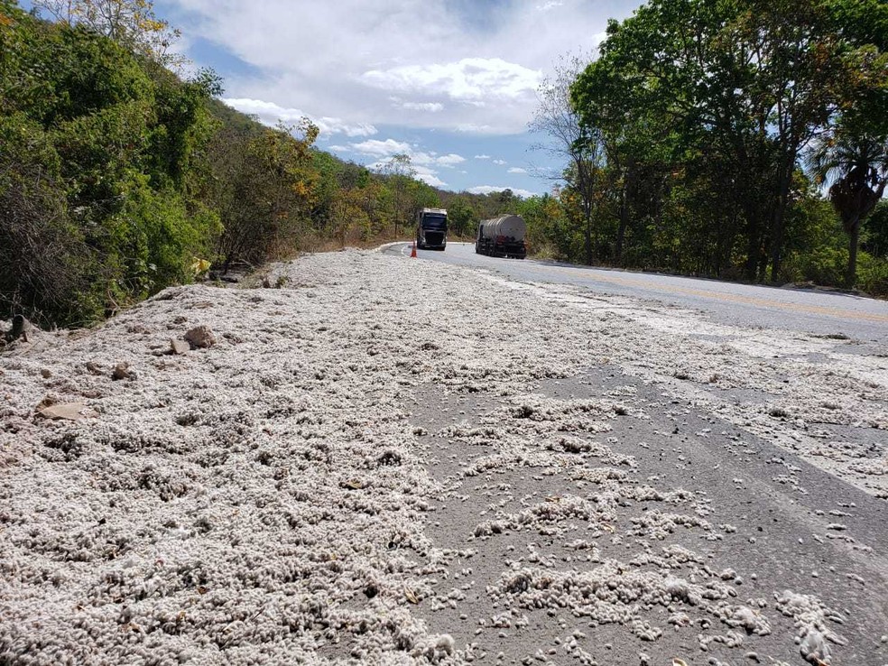 Parte da carga ficou espalhada pelo acostamento da pista.  â Foto: Blog do Braga