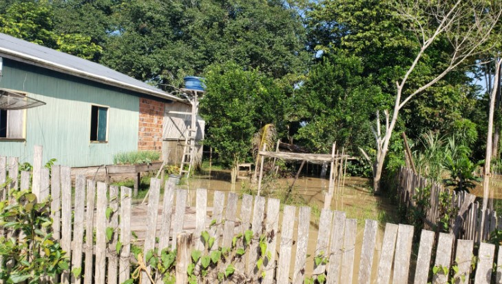 Cheia do Rio Envira já atinge mais de 700 pessoas em Feijó, interior do Acre