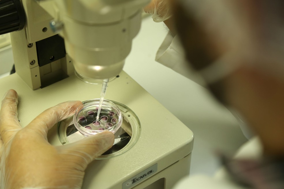 Maioria Dos Jovens Brasileiros Diz Se Interessar Por Ciencia Mas 90 Nao Conhecem O Nome De Um Cientista Nacional Ciencia E Saude G1