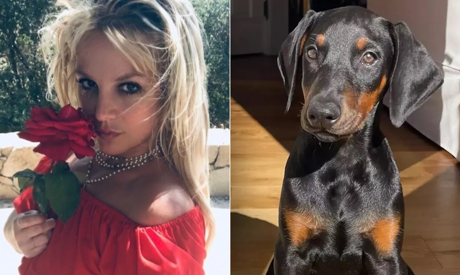 Britney Spears e seu cachorro Porsha
