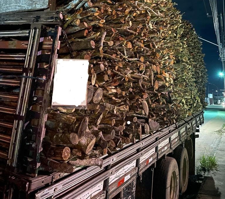 Polícia Militar apreende 40 m³ de madeira nativa em Toritama