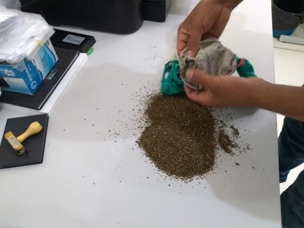 Maconha foi apreendida com visitante em penitenciÃ¡ria de Taquarituba (Foto: DivulgaÃ§Ã£o/SAP)