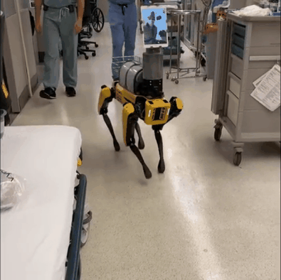 Robô, batizado de Spot, tem quatro patas (Foto: Massachusetts Institute of Technology (MIT))