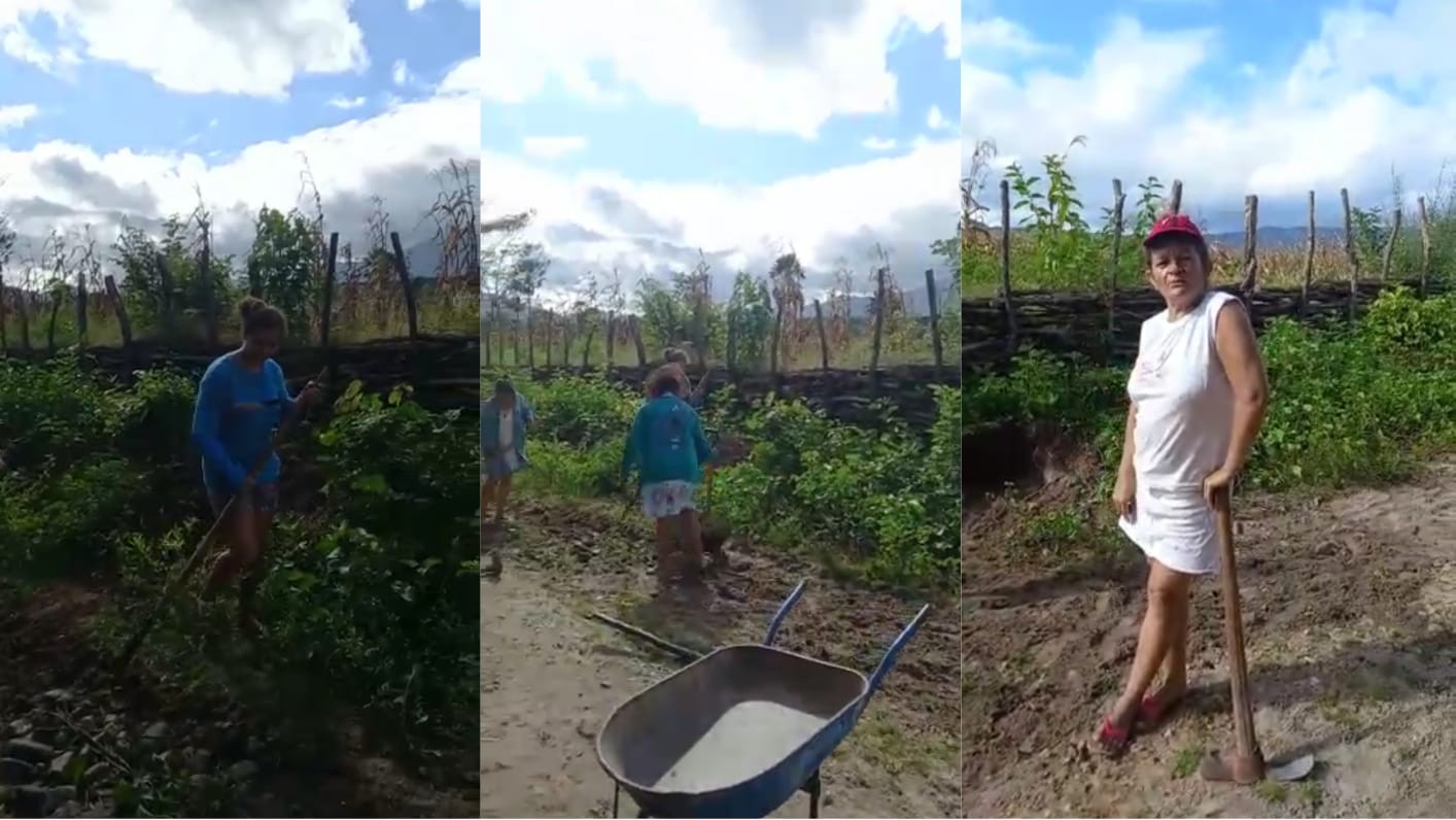 Mães consertam estrada de terra para que ônibus possa voltar a levar os filhos para a escola, no Ceará; vídeo