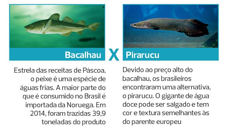 peixes-piscicultura-especies-criacao-cativeiro (Foto: Filipe Borin/Ed. Globo)