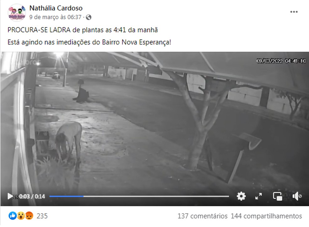 Nathália vem buscando a suspeita nas redes sociais  — Foto: Reprodução/Facebook