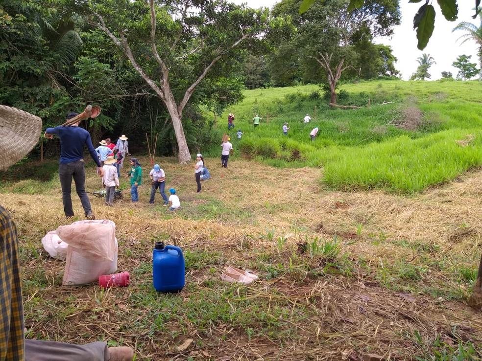 Grupo trabalha recuperando nascente em Jaru (RO). — Foto: Grupo Água Viva/Divulgação