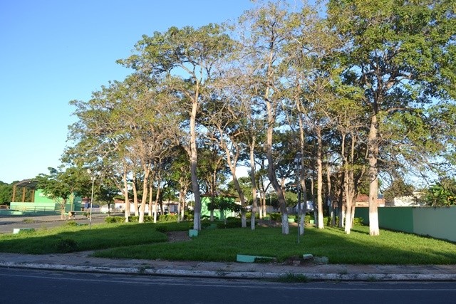 Praça localizada em São Gonçalo do Piauí  (Foto: Arquivo Pessoal/Carla Bianca )