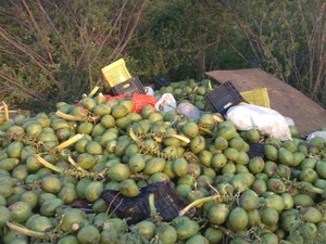 Caminhão carregado com frutas tombou na PE-320 (Foto: Divulgação/ Polícia Militar)