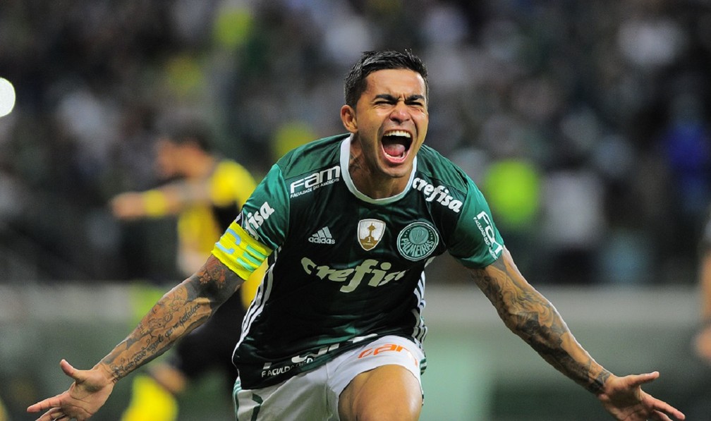 Dudu comemora gol da virada do Palmeiras, que depois cederia empate e recuperaria a virada (Foto: Marcos Ribolli)
