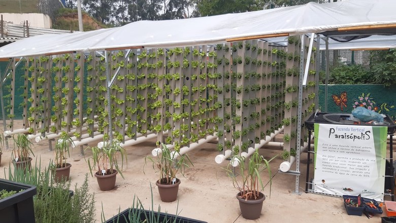 Além de módulos para plantio de frutas e hortaliças, espaço contará com hortas verticais (Foto: Divulgação)